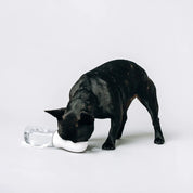 Thirsty Dog Original Thirsty Dog Bottle