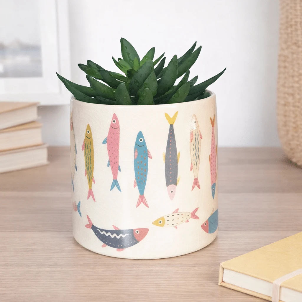 Sardine Colourful Planter | 14cm