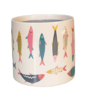 Sardine Colourful Planter | 14cm