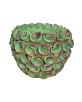 Alisons Acquisitions Verdi Barnacle Planter | Medium