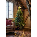 Maytime Sirius Agnes Christmas Tree Top | Clear White