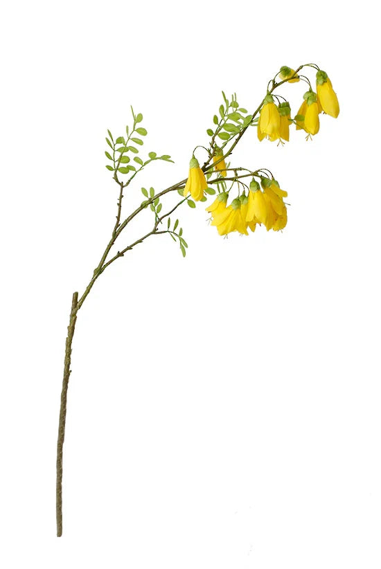 Alisons Acquisitions Artificial Kowhai Stem | Yellow