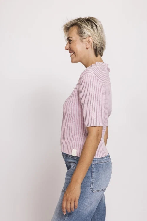 Zhrill Arden Short Sleeve Knit | Rose