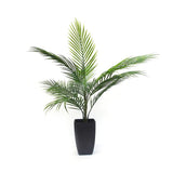 Flower Systems Potted Areca Palm | 75cm