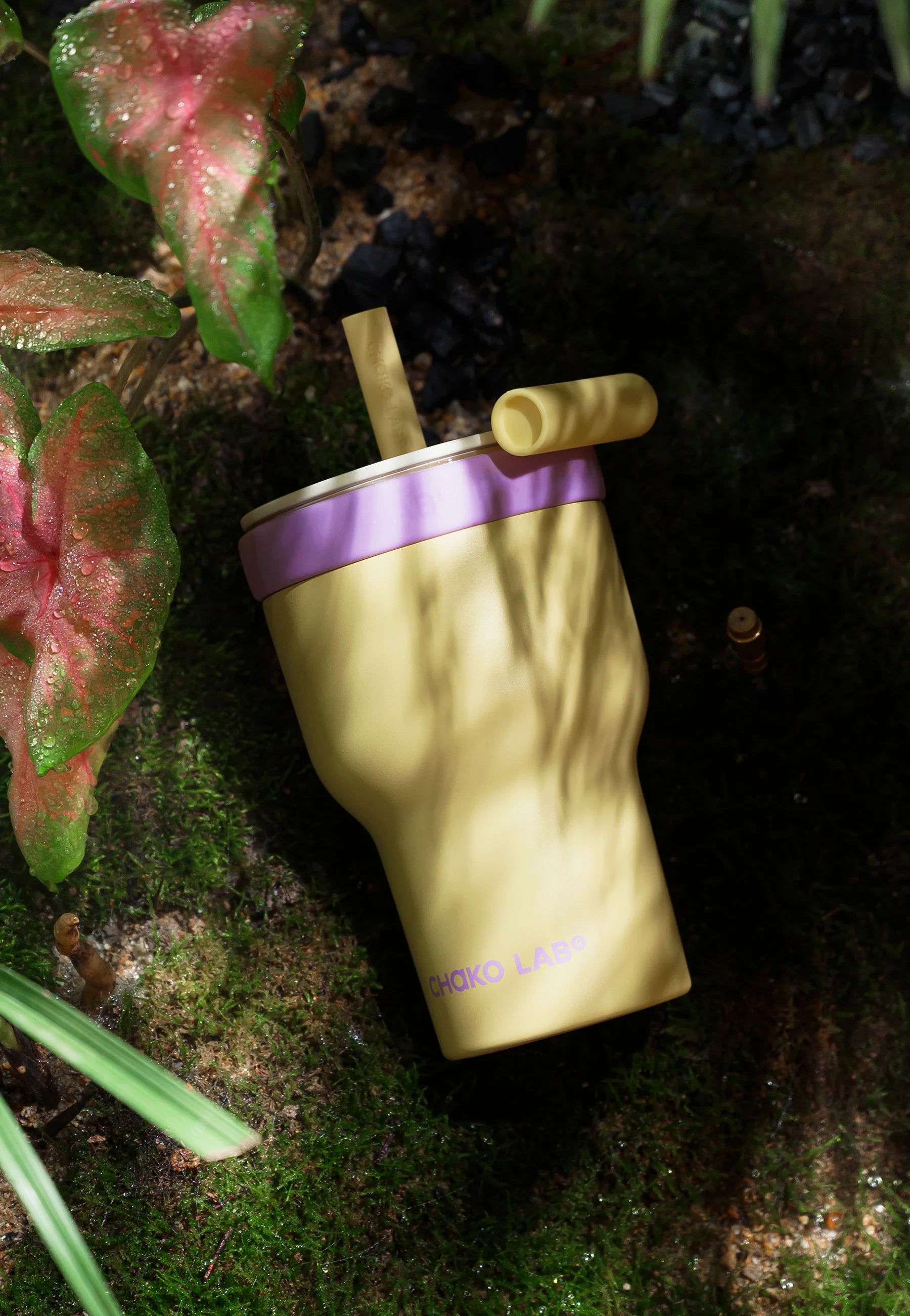 Chako Lab  Dual Layer Tumbler | Yellow Purple