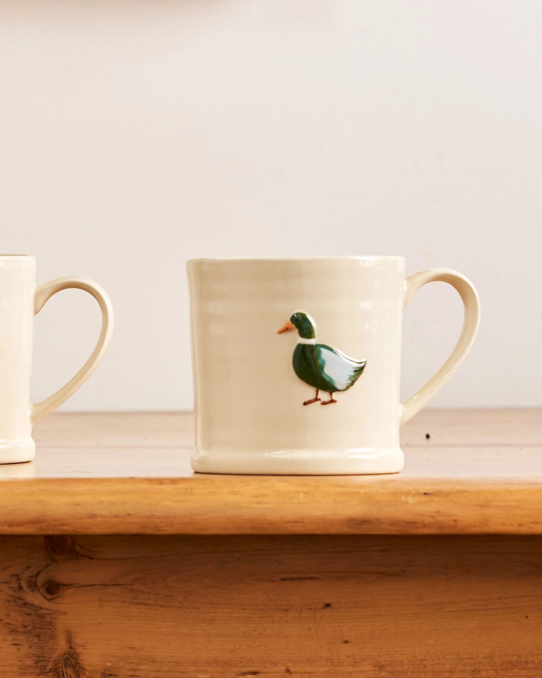 Robert Gordon Mug | Duck