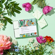 Botanical Shower Steamers | Eucalyptus + Peppermint