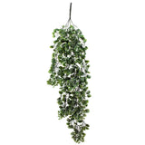 Capulet Dichondra Emerald Falls