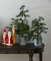 French Country Potted Fraser Fir Tree | X-Small