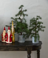 French Country Potted Fraser Fir Tree | X-Small