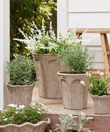 French Country Terra Arc Planter | Large