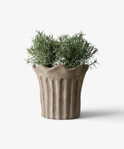 French Country Terra Fluted Planter | Large