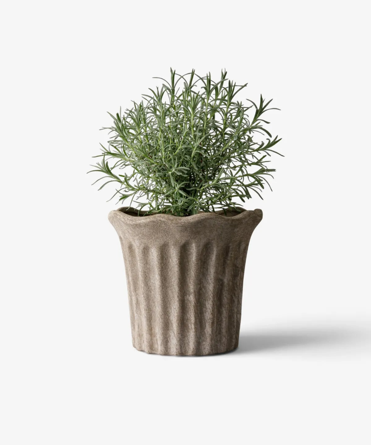 French Country Terra Fluted Planter | Medium