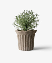 French Country Terra Fluted Planter | Medium