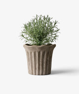 French Country Terra Fluted Planter | Medium