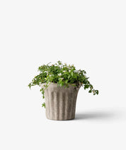 French Country Terra Fluted Planter | Small