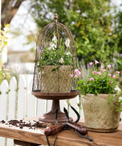 French Country Maison Garden Cloche | Rust