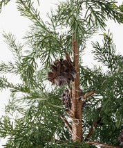 French Country Cedar Evergreen Christmas Tree | 140cm