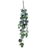 Capulet Hanging Eucalyptus