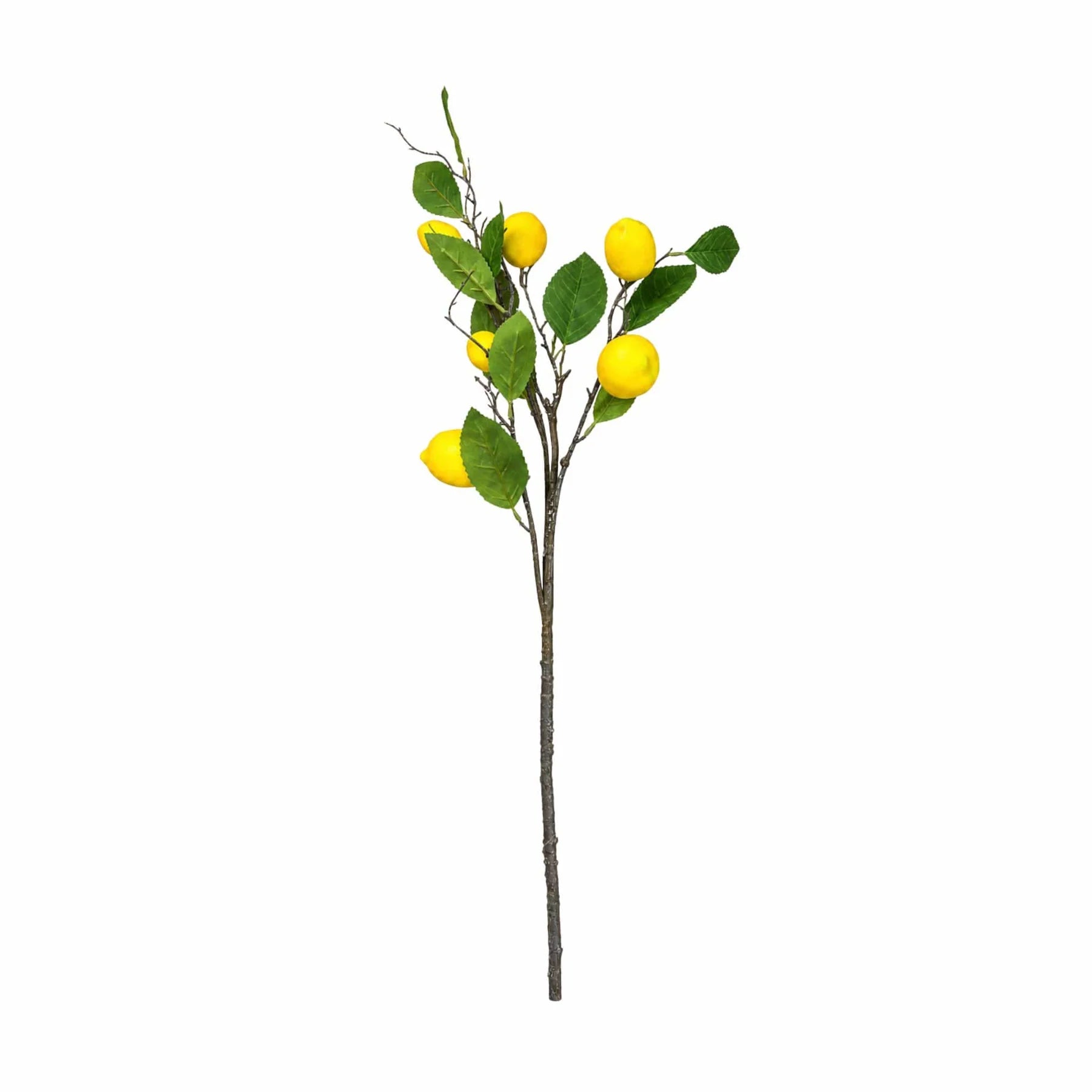 faux-lemon-sprig_Little-and-Fox_c24d648b-7d0a-4ccb-983d-fddf9c5aaf42.webp