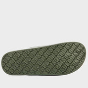 Freedom Moses Basics | Cactus