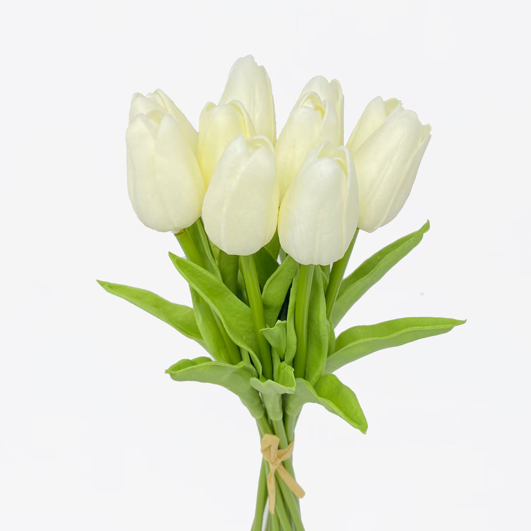 Alisons Acquisitions Tulip Bunch | White