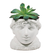 Fertile Minds Ceramic Planter Jane Austen