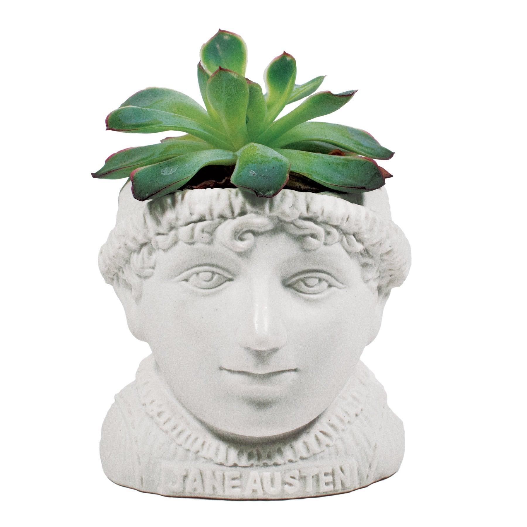 Fertile Minds Ceramic Planter Jane Austen