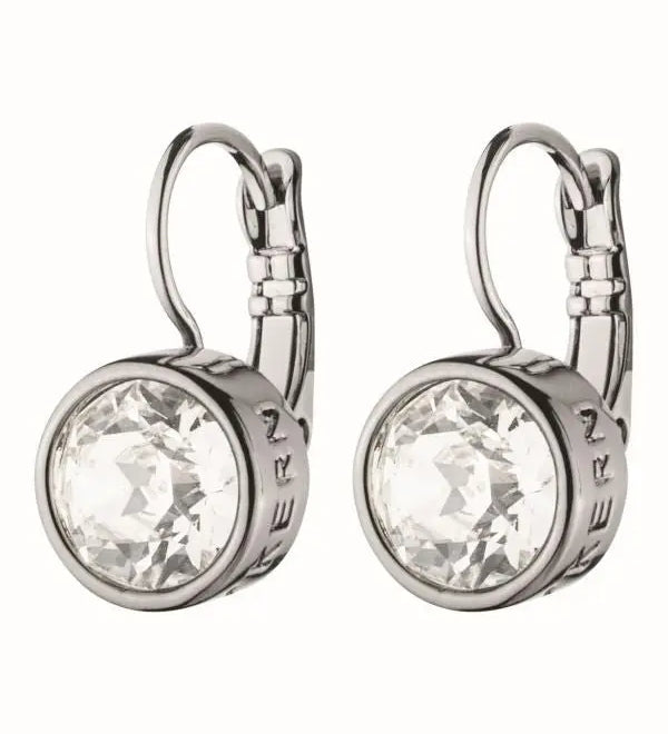 louise-shiny-silver-earrings-crystal-608335.webp