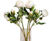 RML Artificial Peony Cream