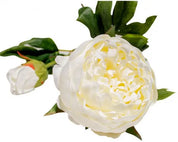 RML Artificial Peony Cream