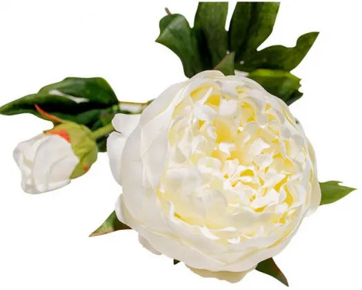 RML Artificial Peony Cream