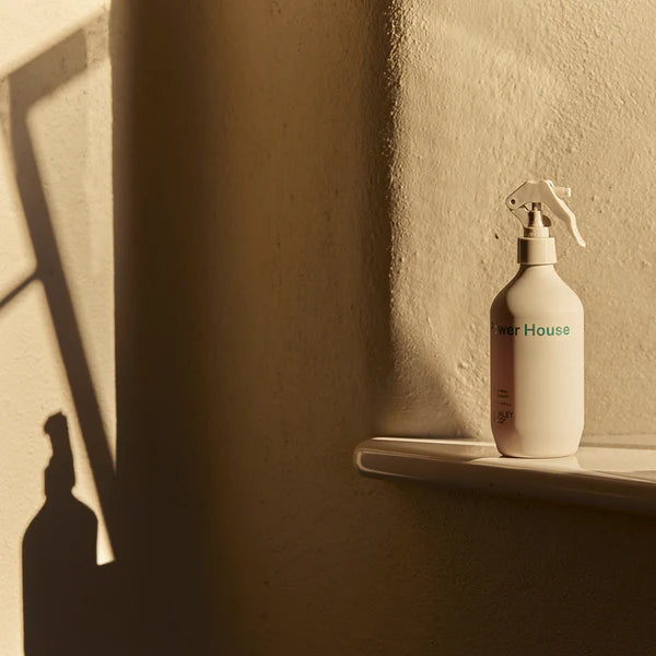 Ashley & Co Power House Room Mist | Tui & Kahili