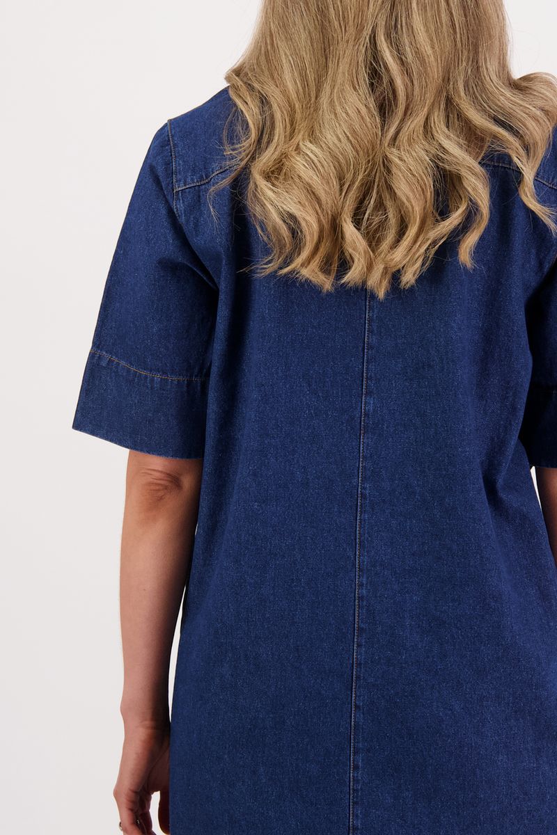 Briarwood Sutton Dress | Denim
