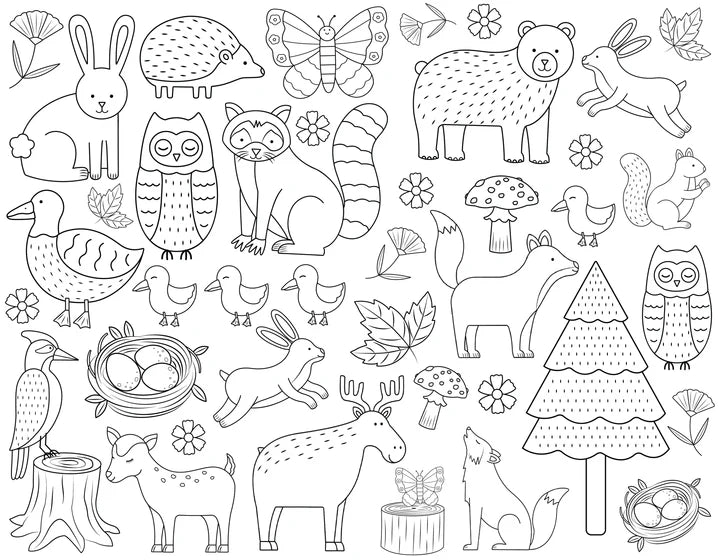 Washable Reusable Colouring-In Solo Mat Kit | Woodland Wonders