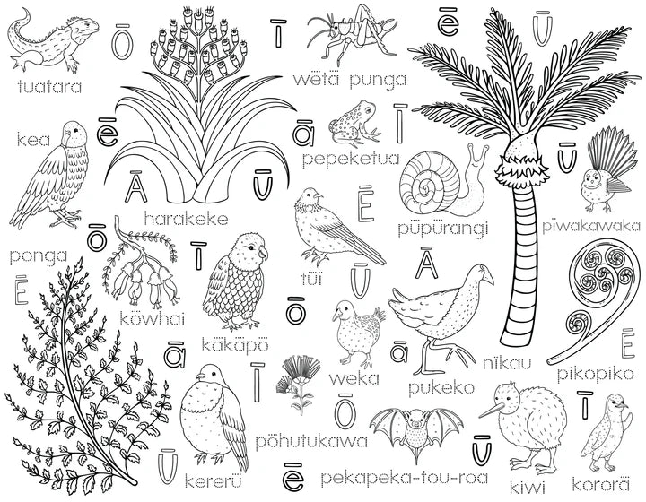 Washable Reusable Colouring-In Solo Mat Kit | Friends Of The Forest