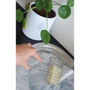 The Florence Soap Shaker