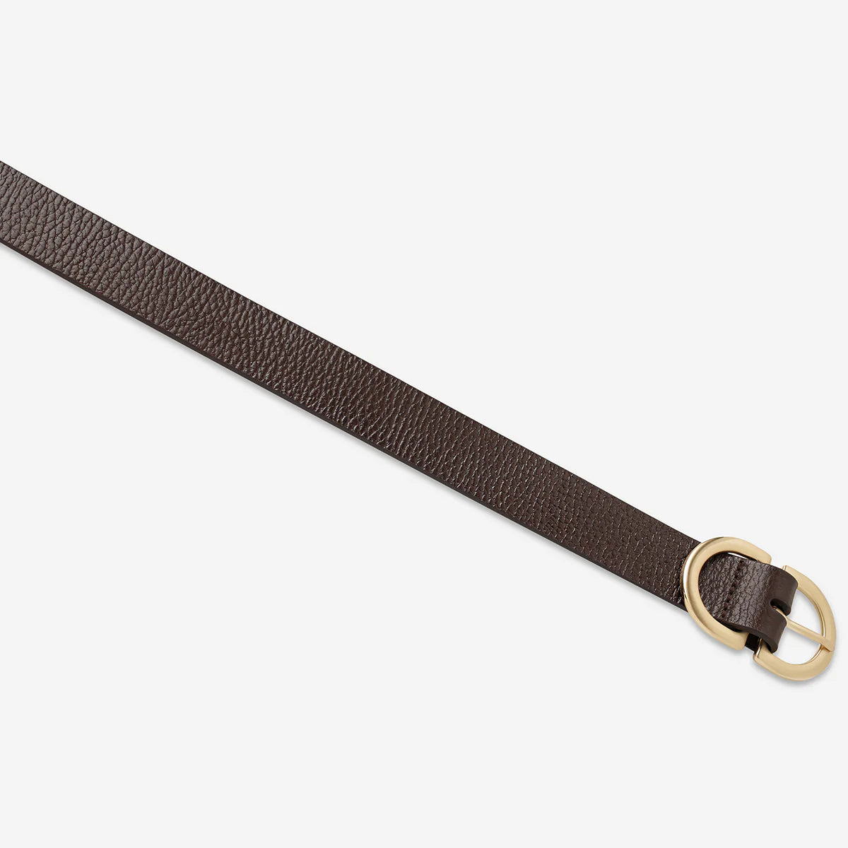 Status Anxiety In Reverse Belt | Choc Gold