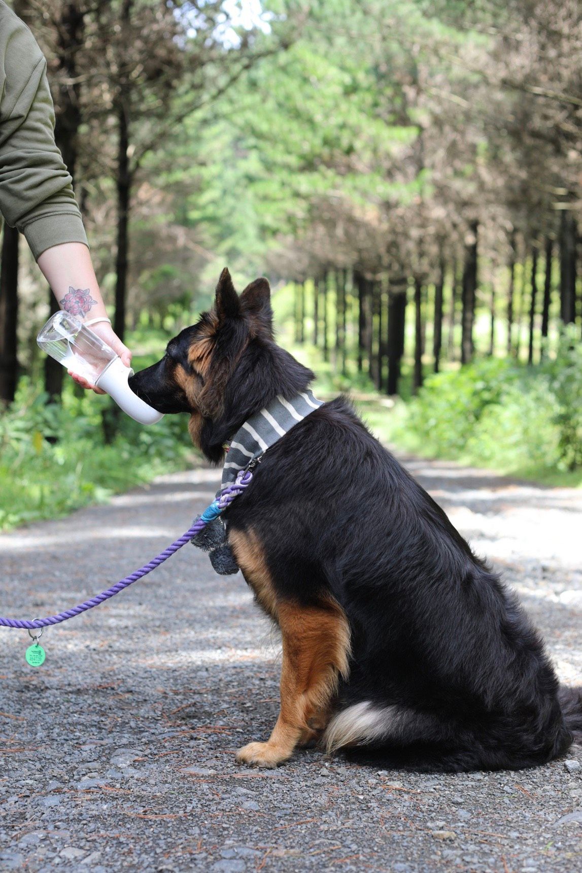Thirsty Dog Drink Bottle