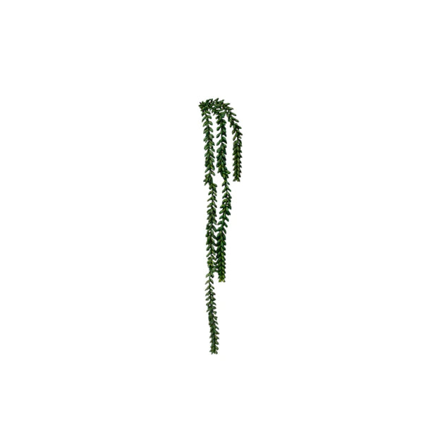 tail_600x_55bc2896-d777-4b0a-b7a8-42d6df896f65.webp
