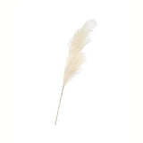 Flower Systems Prince of Wales Toi Toi Cream