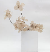 Book Vase White | 21cm