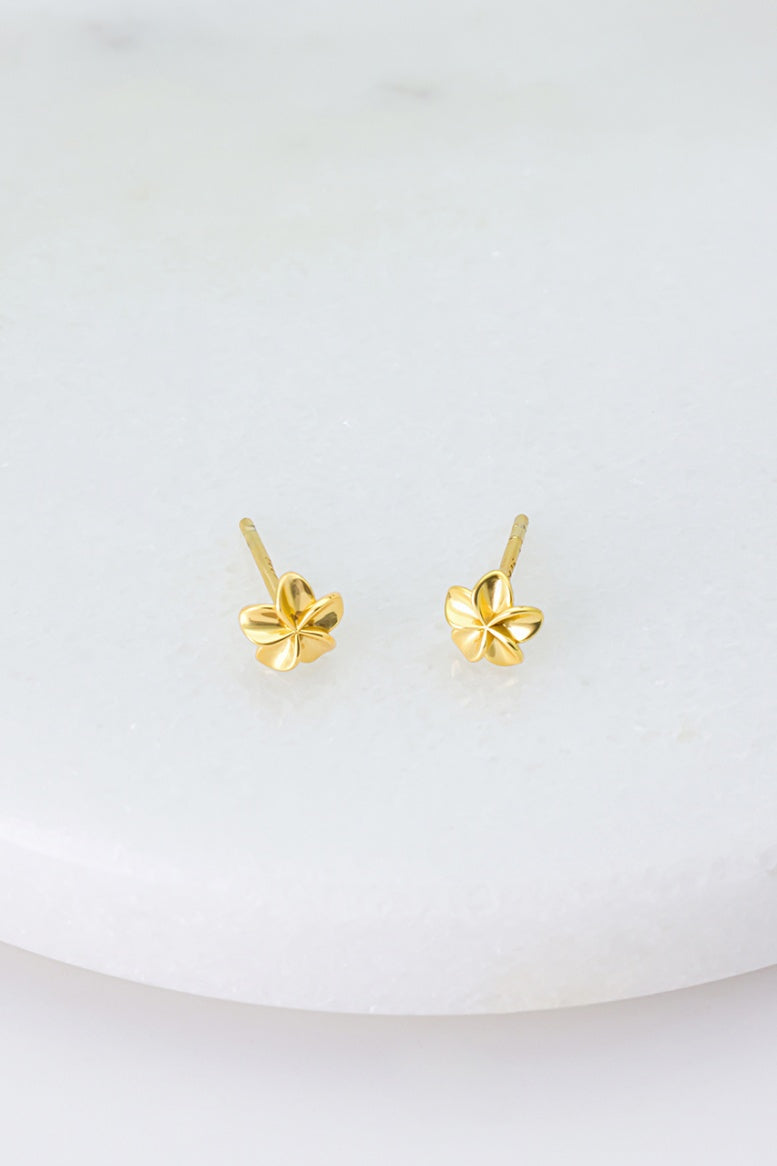 Zafino Flower Stud | Gold