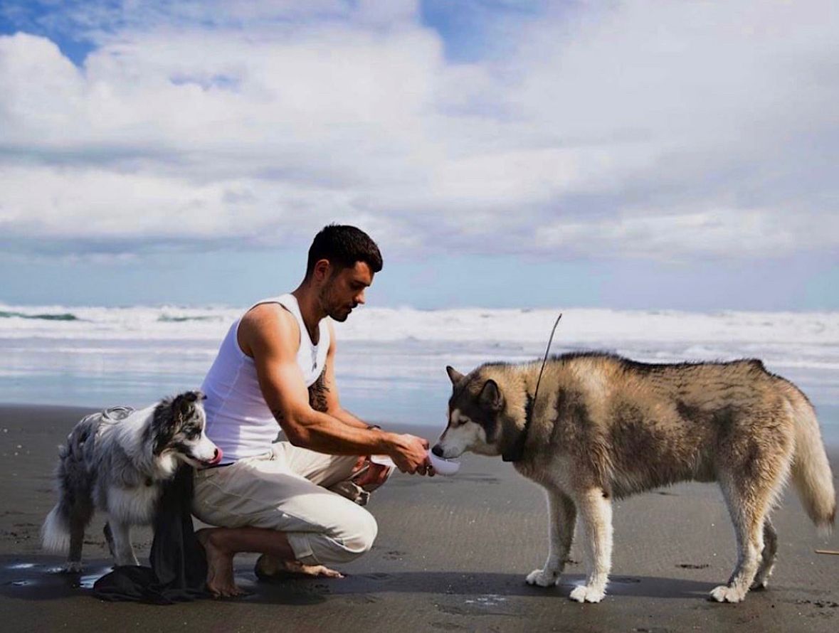 Thirsty Dog Drink Bottle