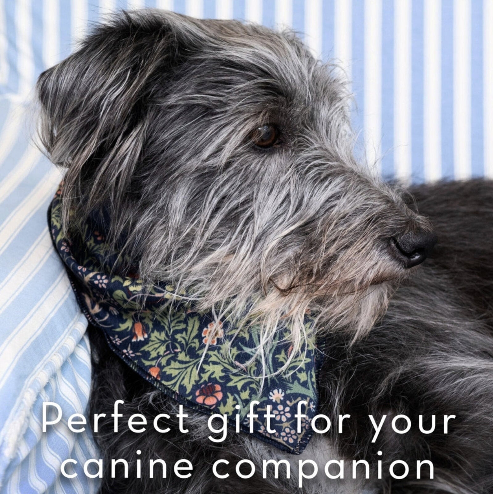 William Morris At Home Canine Companion | Dog Bandana & Hand Cream Wrapped Gift