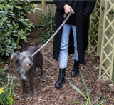 William Morris at Home Canine Companion | Dog Lead 120cm
