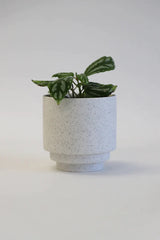 Griff Berkley Ceramic Planter Speckled