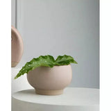 Robert Gordon Ikebana Vase | Marle Blush