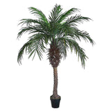 RML Pheonix Palm W/Pot 160Cm Fake Plant
