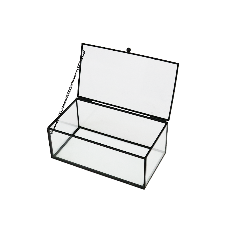 Le Forge Glass Hinged Box 25/08/8